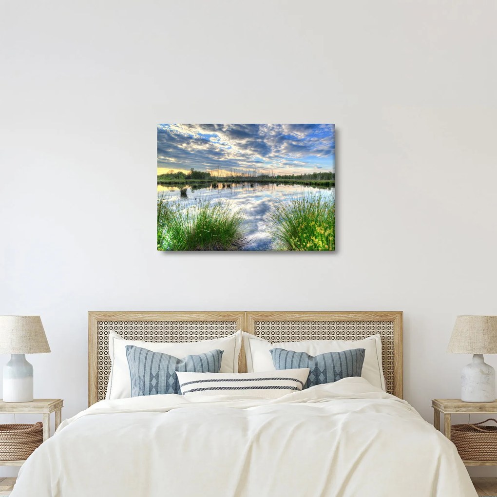 Obraz jeziora z trzcinami (70x50 cm)