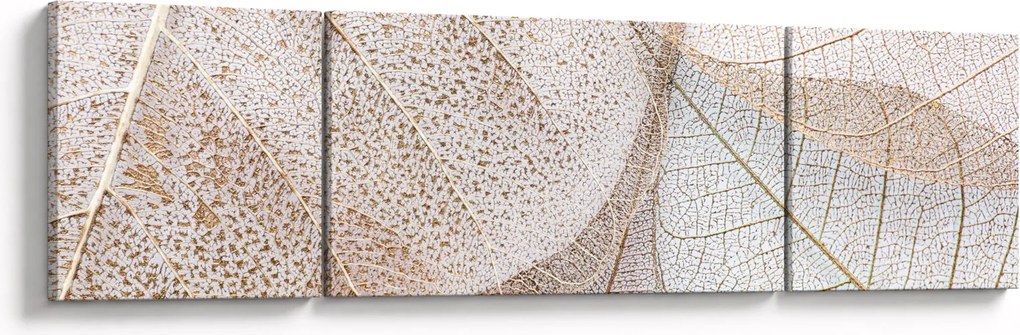 Obraz - Beżowe liście (170x50 cm)