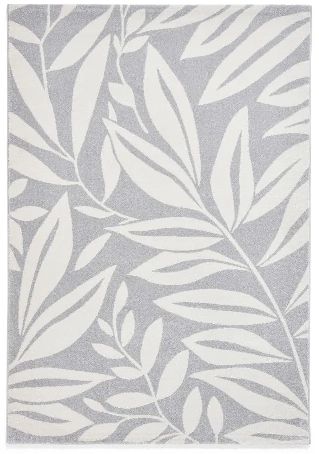 Jasnoszary dywan 80x150 cm Sorral Leaves – Catherine Lansfield