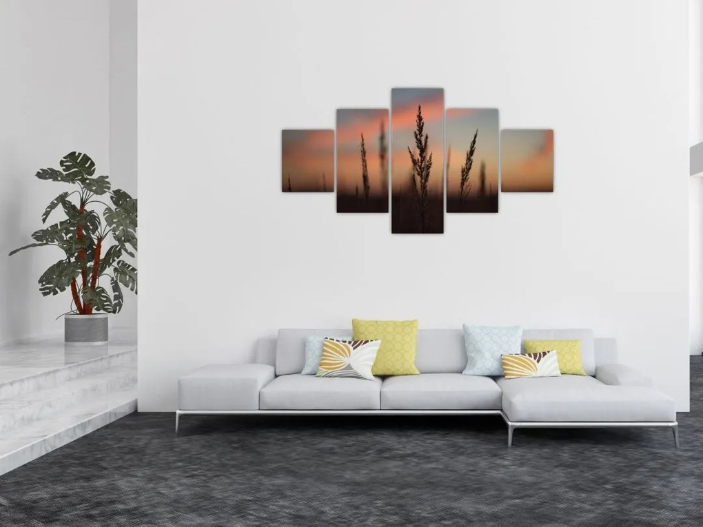Obraz - Sylwetka rośliny (125x70 cm)