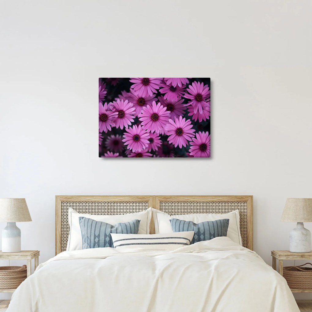 Obraz różowych kwiatów (70x50 cm)