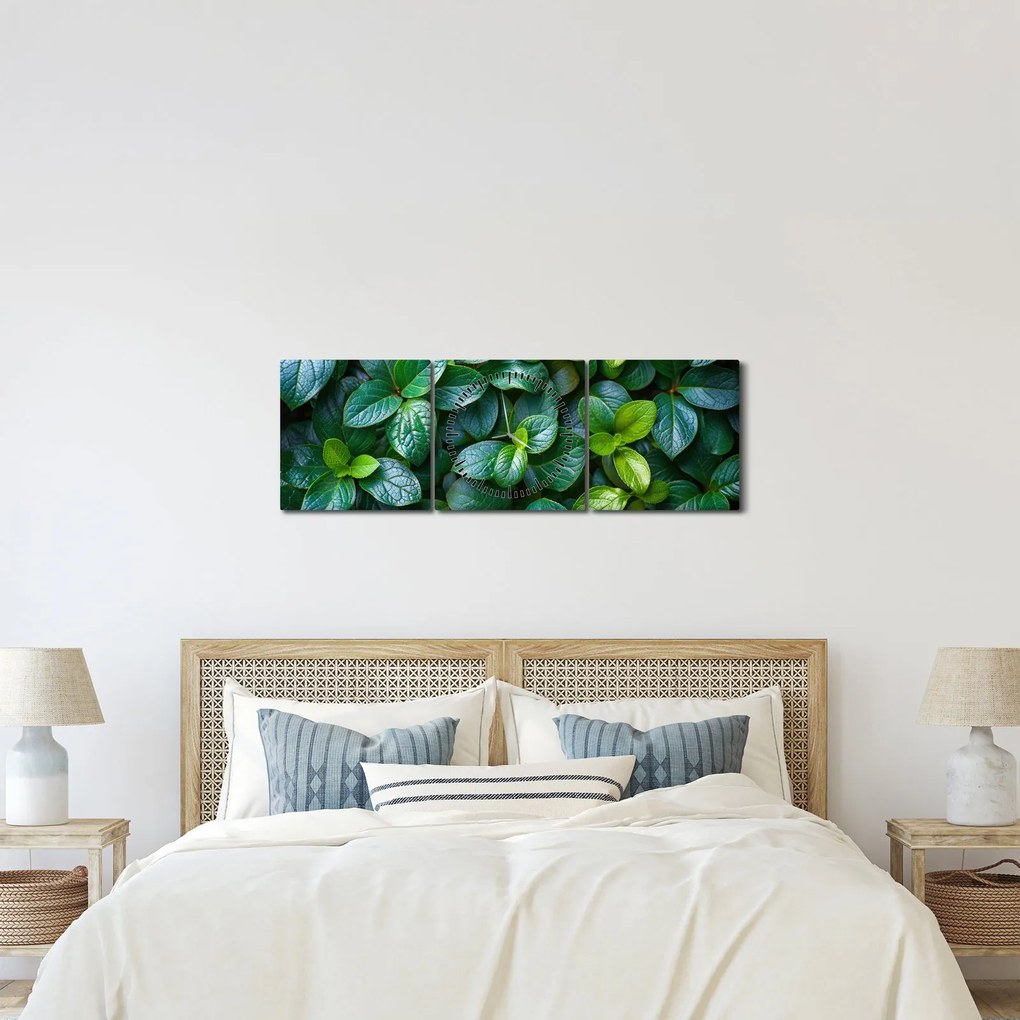 Obraz - Rośliny zielone (z zegarem) (90x30 cm)