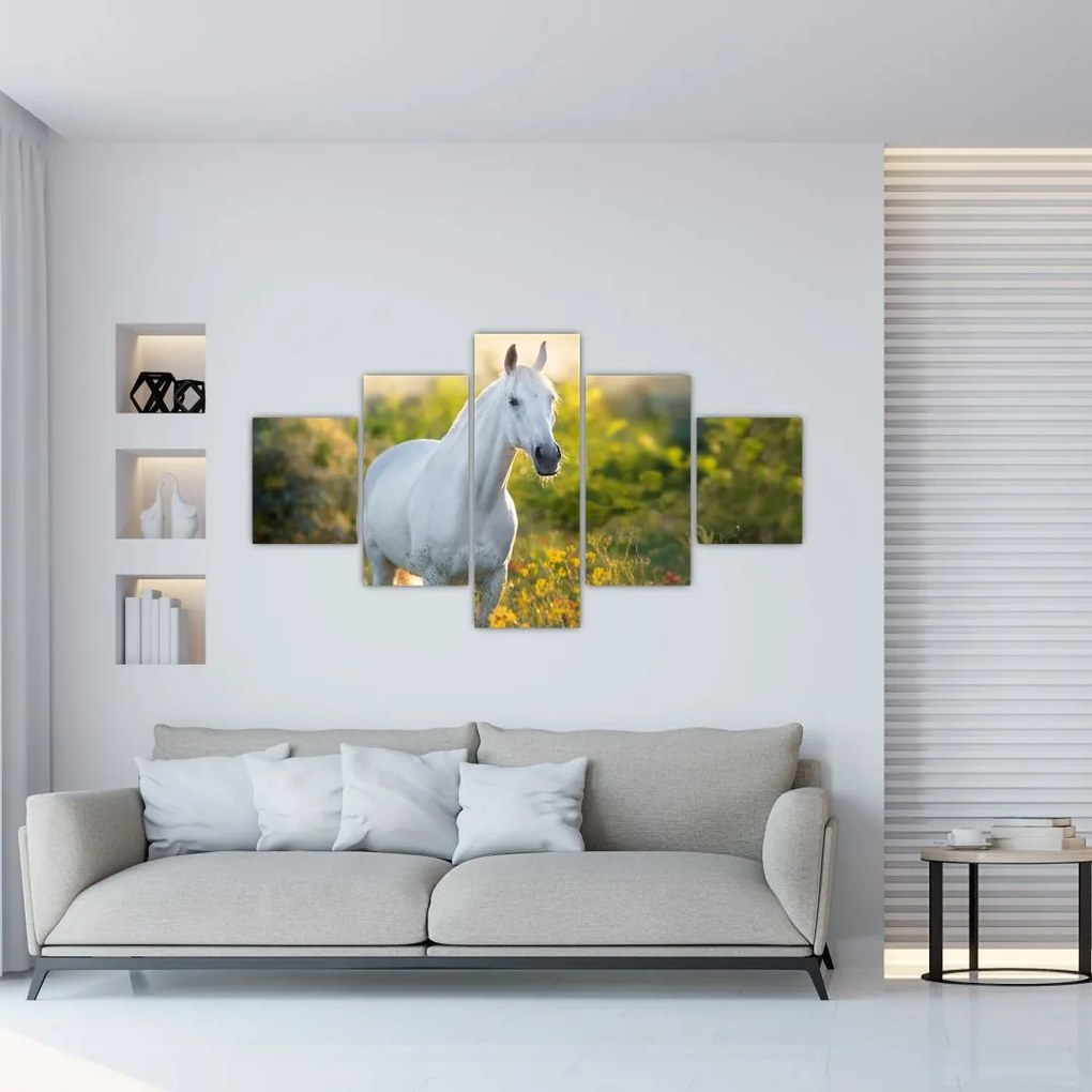 Obraz białego konia na łące (125x70 cm)