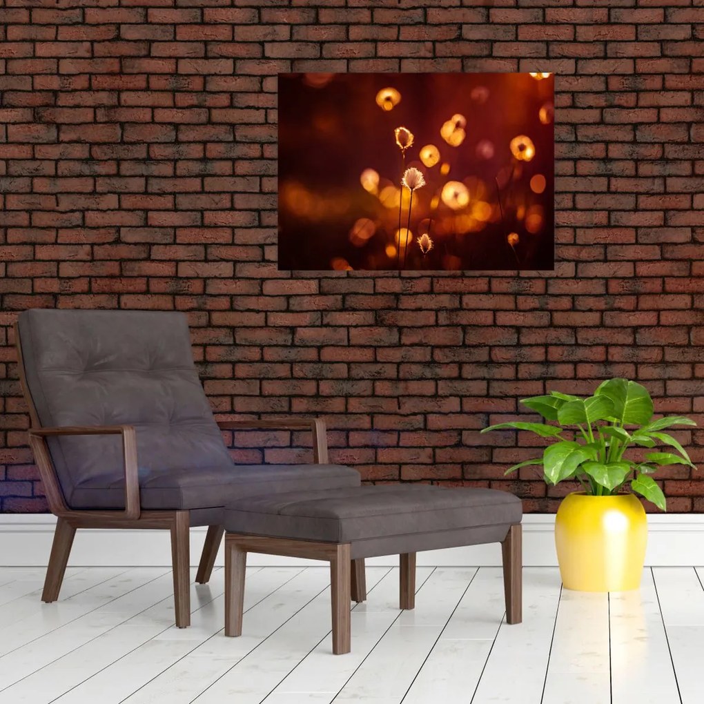 Obraz - Poranek (70x50 cm)