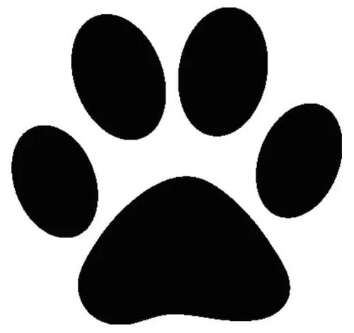 Naklejki Fanastick Pattes De Chat