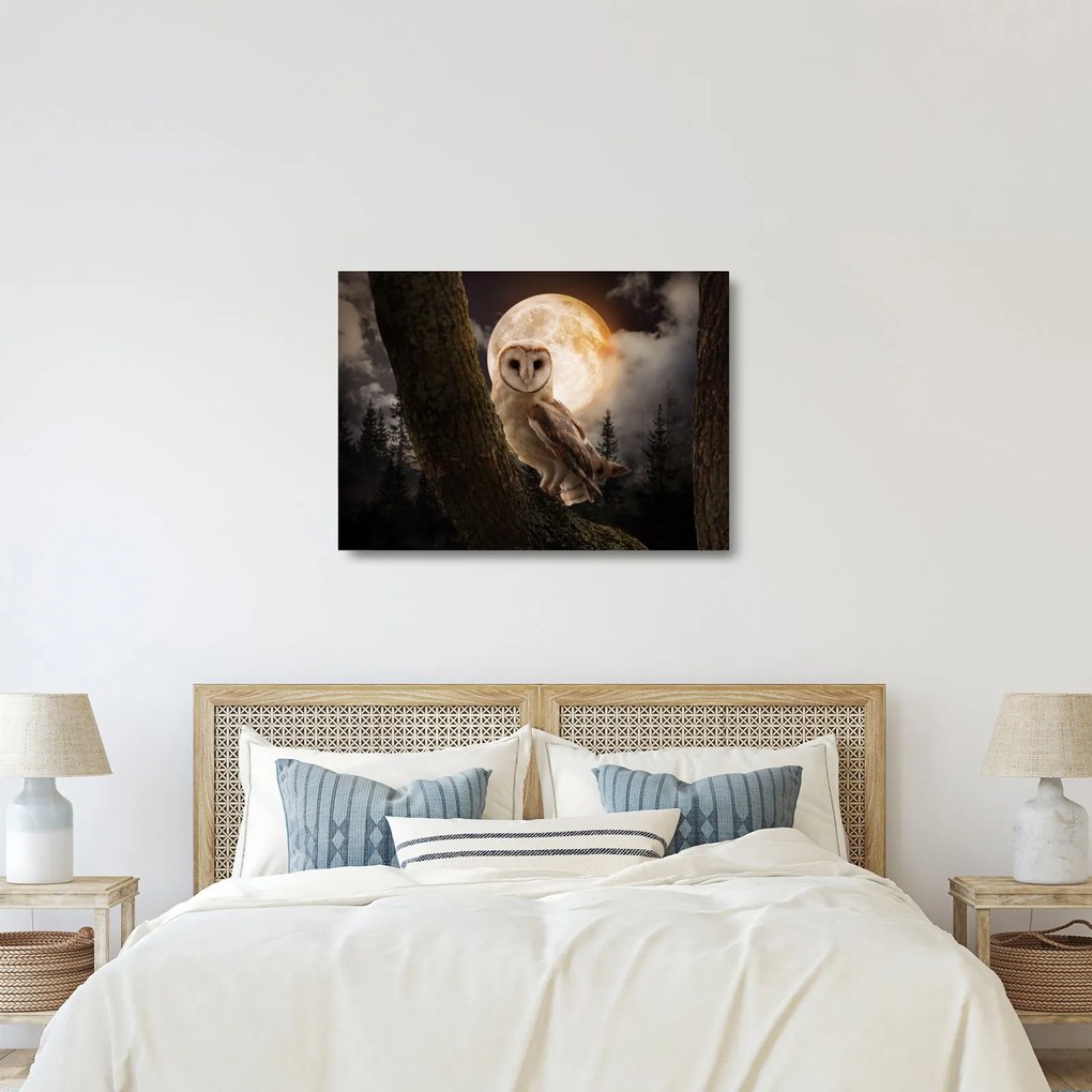 Obraz na szkle sowy palonej (70x50 cm)