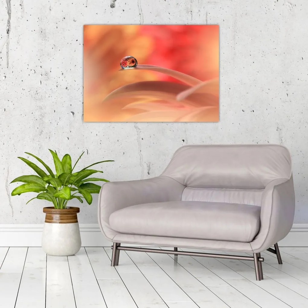 Obraz kwiecistej kropli rosy (70x50 cm)