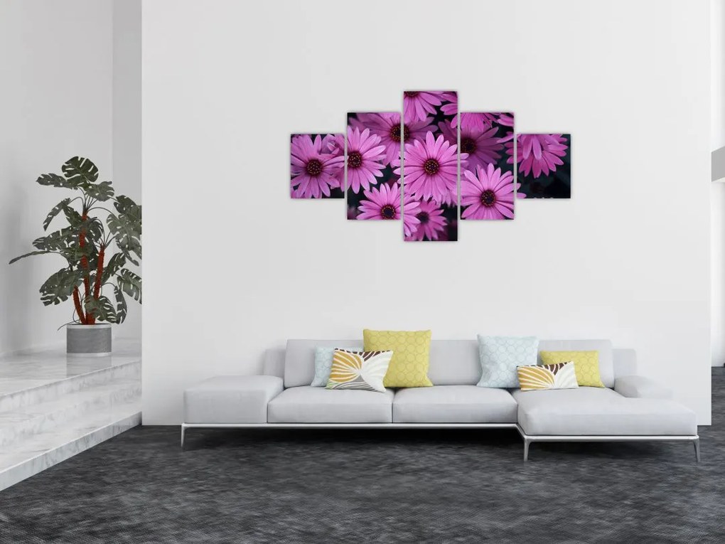 Obraz różowych kwiatów (125x70 cm)
