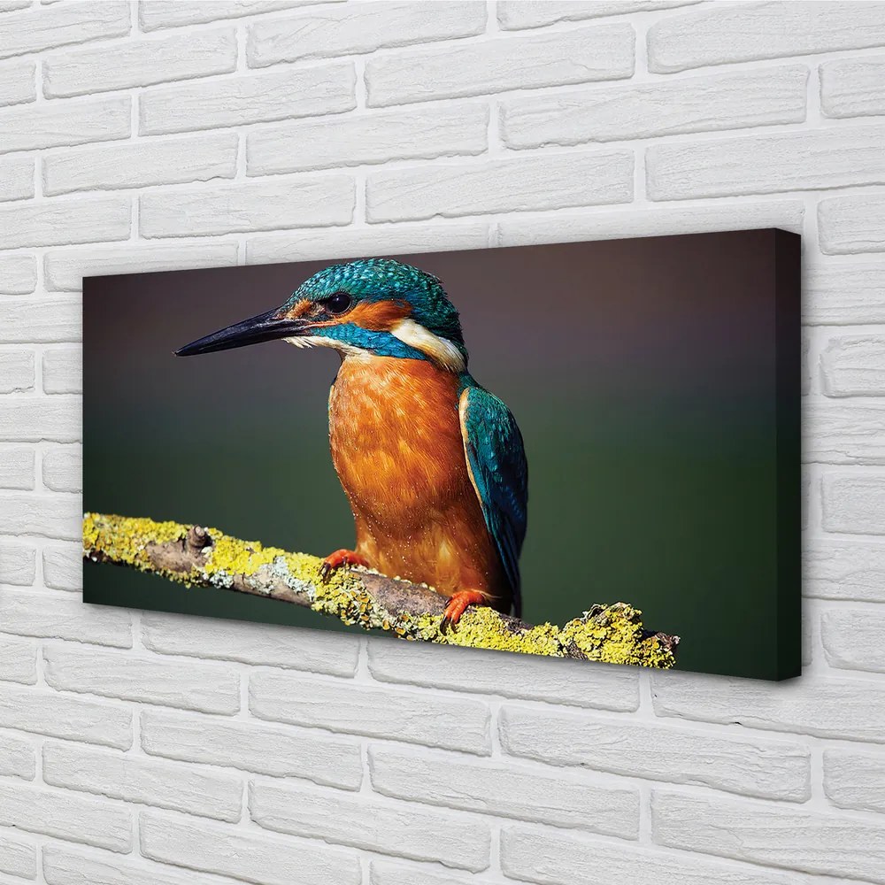 Duży obraz na płótnie Kolorowy Ptak na Gałęzi