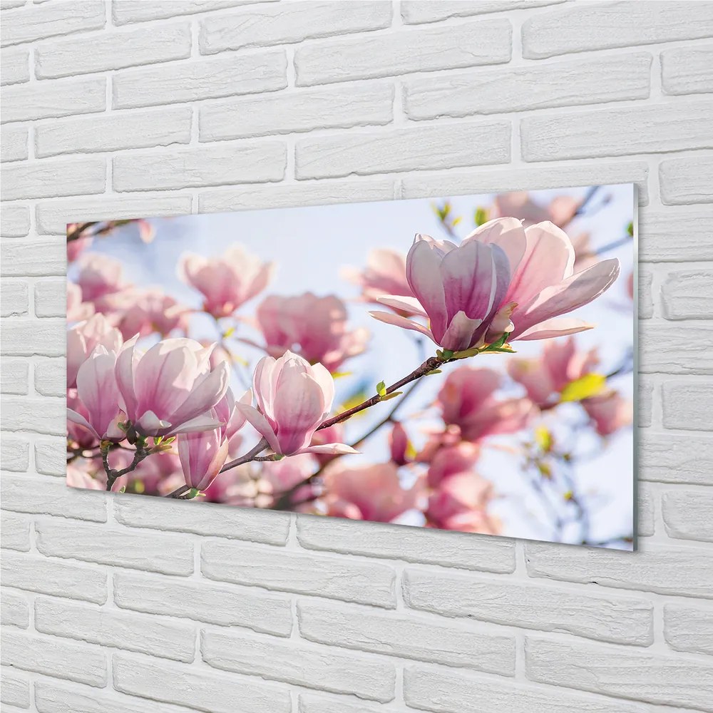 Szklany Panel Magnolia