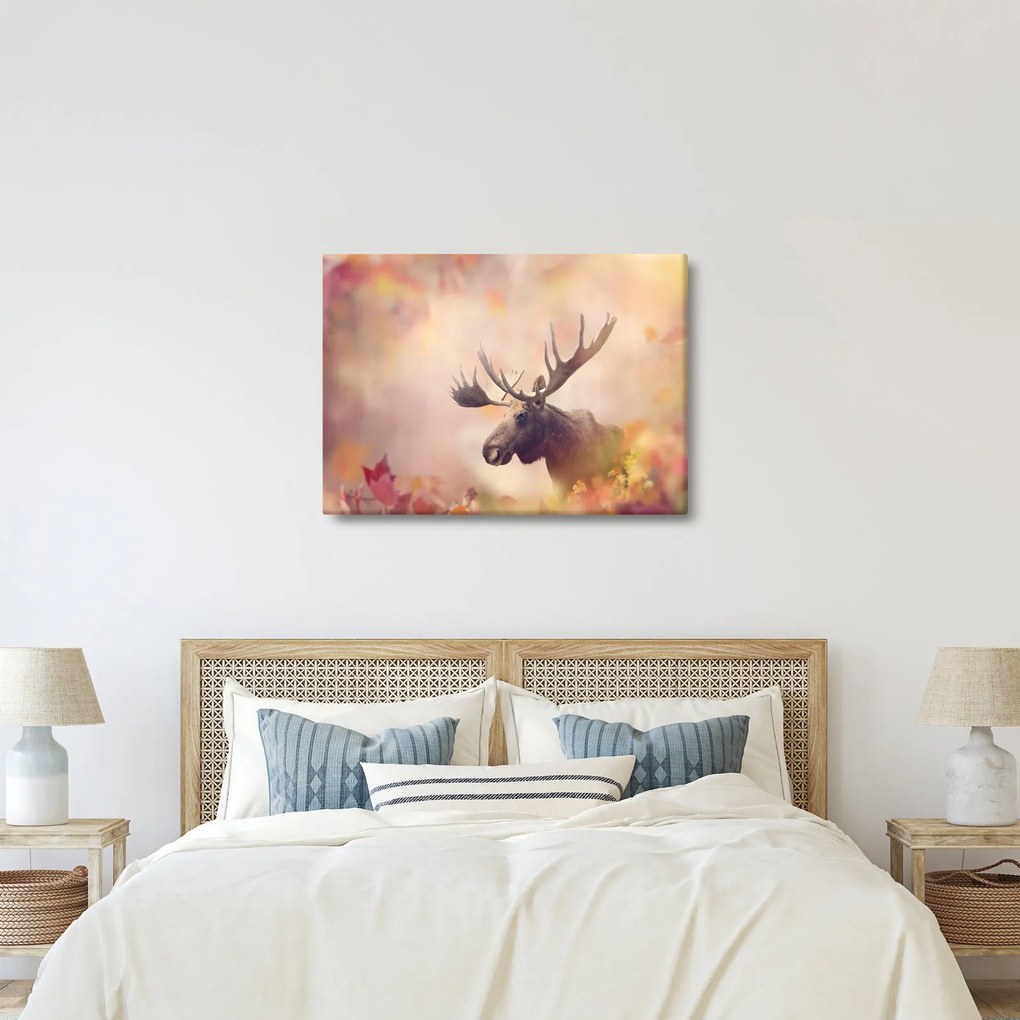 Obraz - Las w jesiennych liściach (70x50 cm)