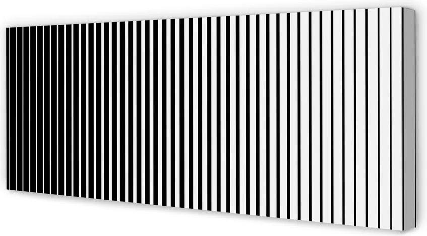 Obraz na płótnie Gradientowy Wzór Zebry