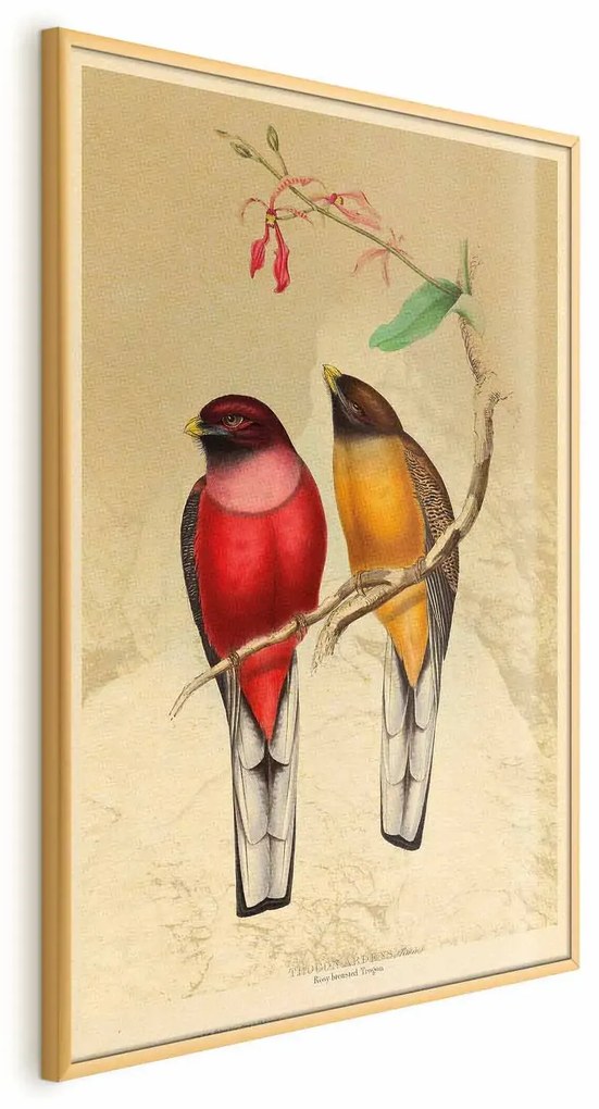 Plakat Ptaki na gałązce 60x90 cm z ramą złotą bez marginesu ARTGEIST B