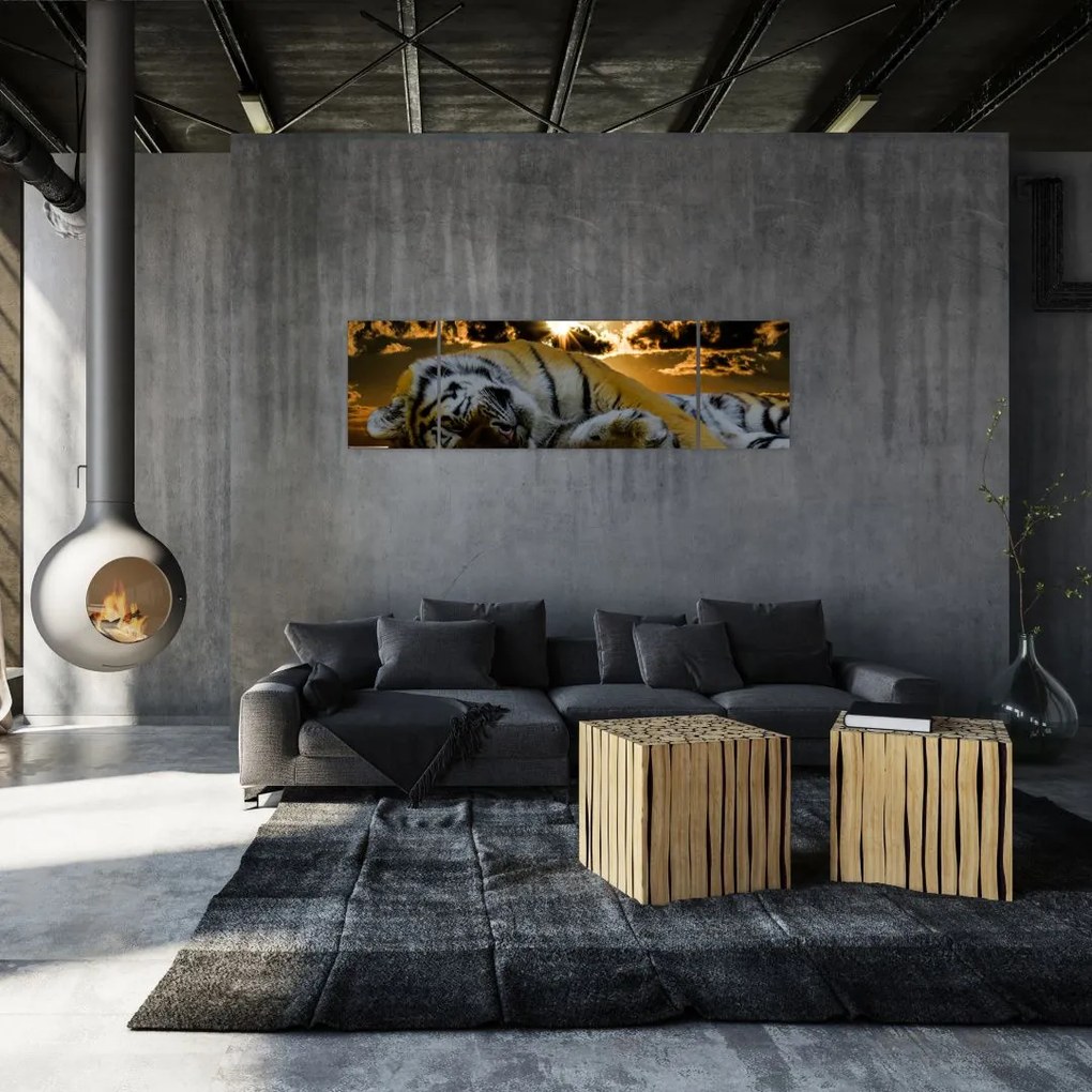 Obraz śpiącego tygrysa (170x50 cm)