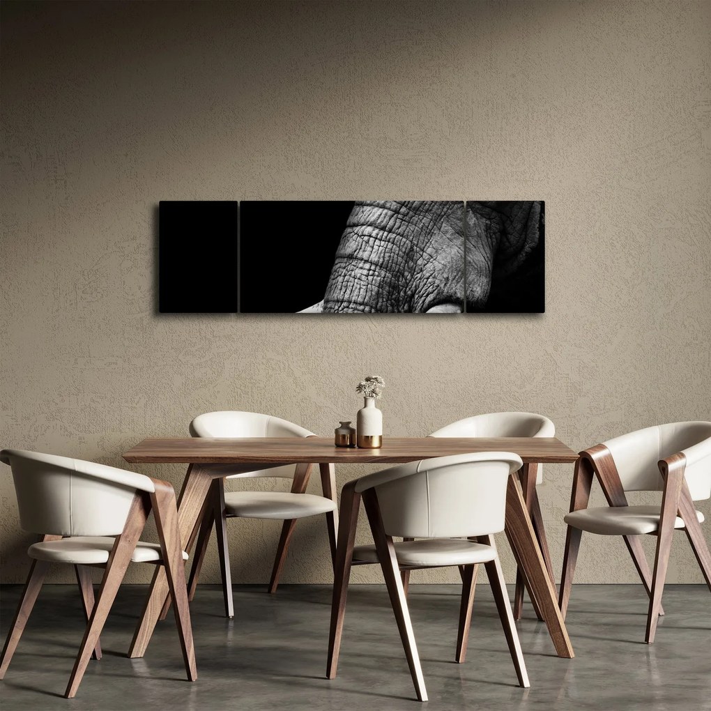 Obraz - Kły słonia (170x50 cm)
