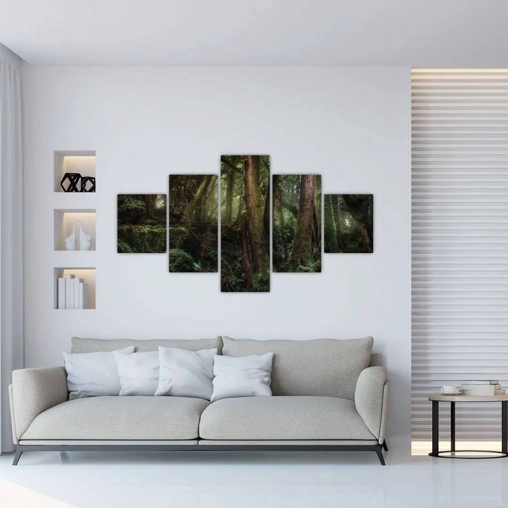 Obraz - Tajemniczy las (125x70 cm)