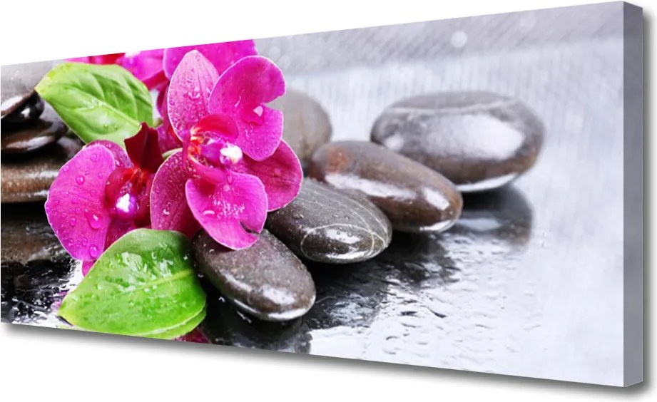 Duży obraz na płótnie Egzotyczny Storczyk w Detalu