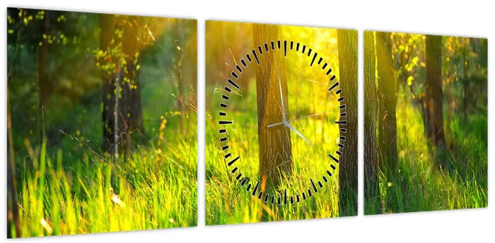 Obraz - Wiosenne przebudzenie lasu (z zegarem) (90x30 cm)