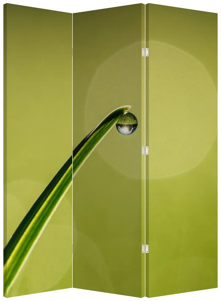 Parawan - Kropla wody na trawie (126x170 cm)