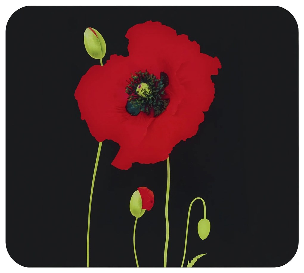 Szklana płyta kuchenna, 56 x 50 cm, POPPY, Maximex