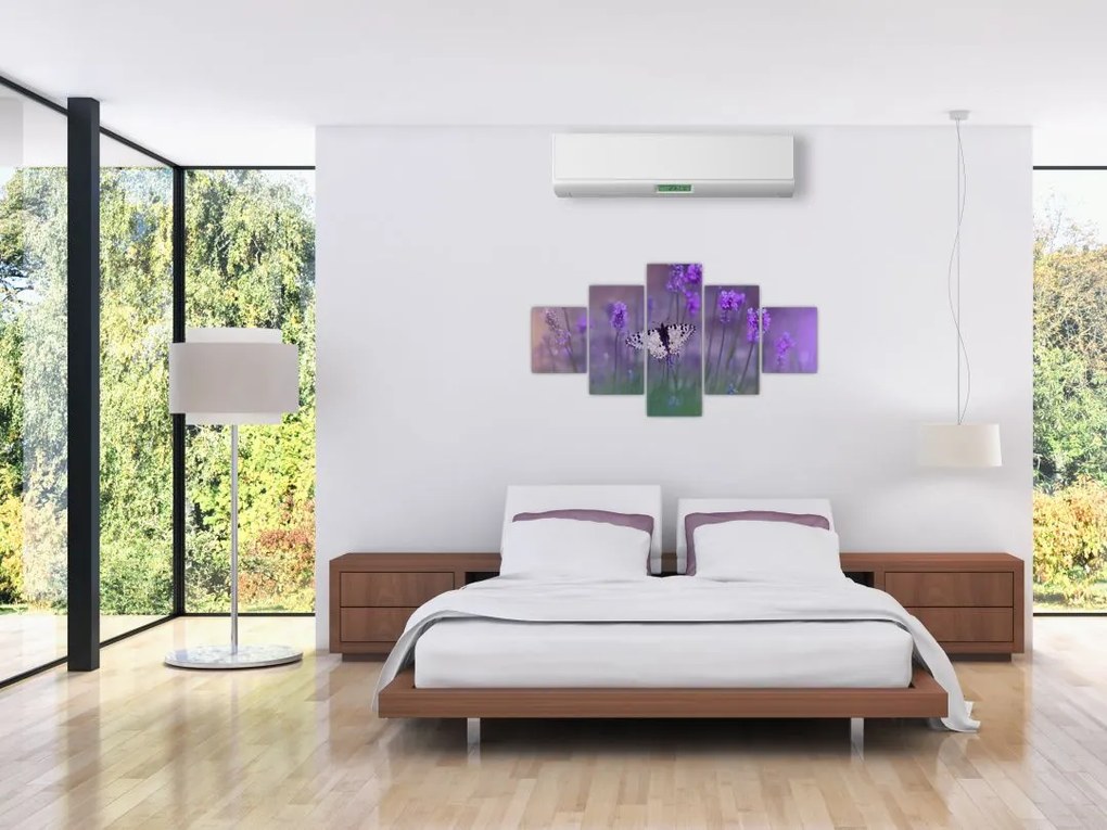 Obraz - Motyl w lawendach (125x70 cm)