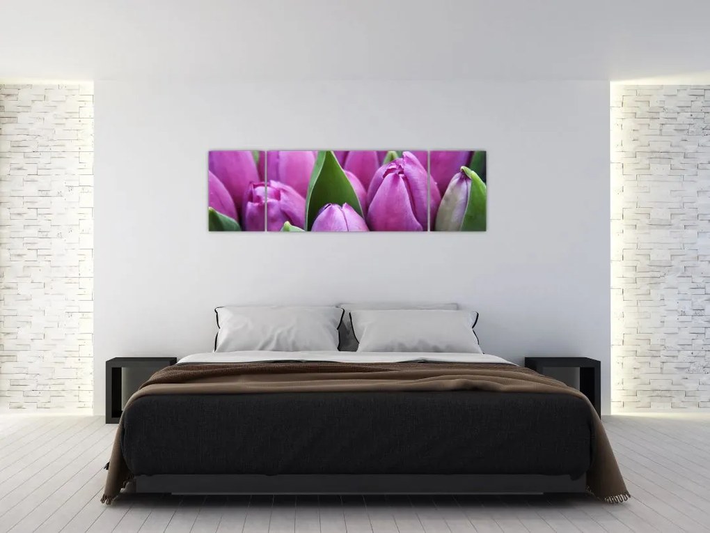 Obraz - kwiaty tulipanów (170x50 cm)