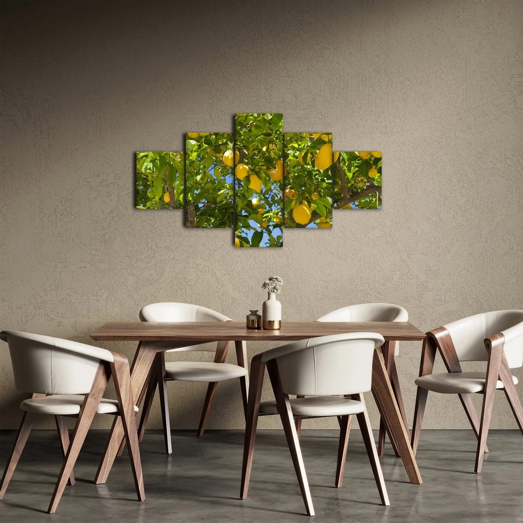 Obraz - Drzewo cytrynowe (125x70 cm)
