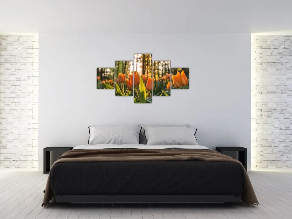 Obraz - pomarańczowe tulipany (125x70 cm)