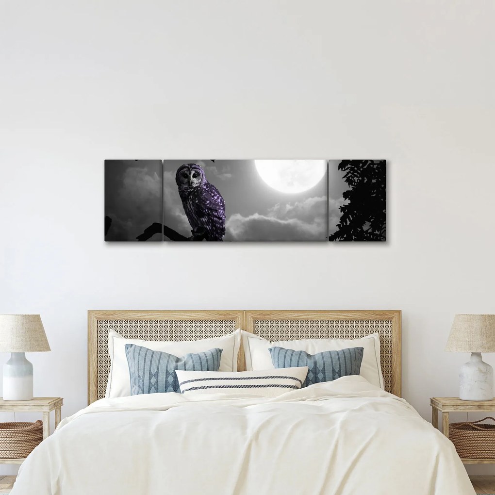 Obraz - Nocna sowa, fioletowa sowa (170x50 cm)
