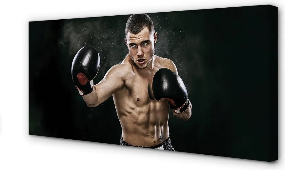 Duży obraz na płótnie Gotowość Do Walki