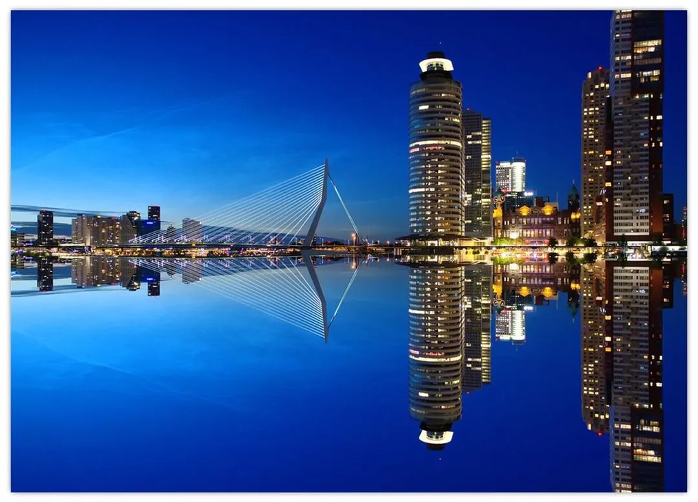 Obraz na szkle - Rotterdam nocą (70x50 cm)