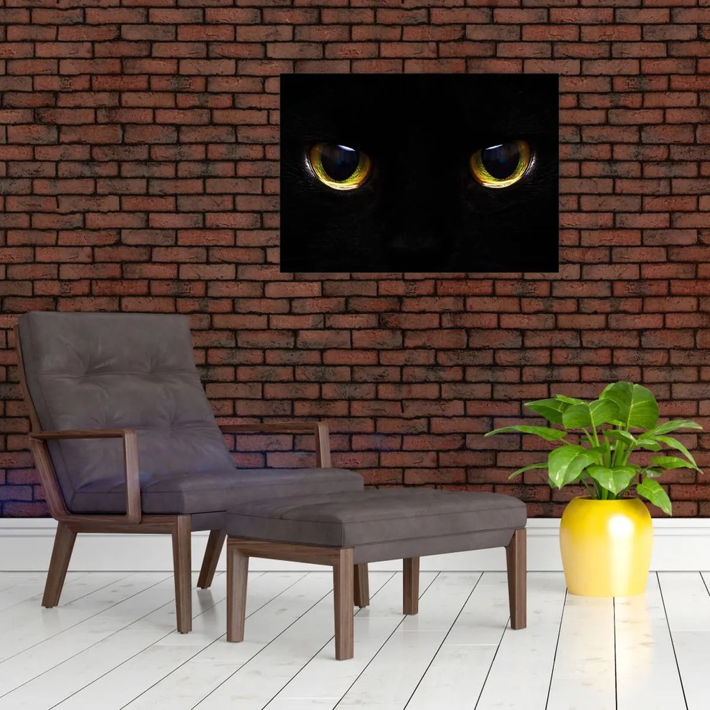 Obraz na szkle - Kocie oczy (70x50 cm)