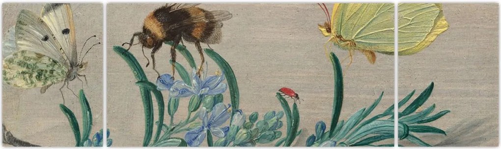 Obraz - Jan van Kessel the Elder, Insects and a Sprig of Rosemary, reprodukcje (170x50 cm)