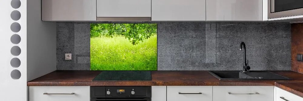 Panel dekor szkło Zielona łąka