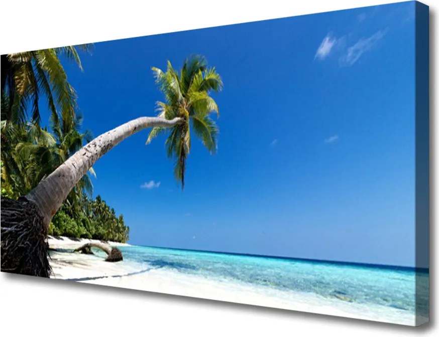 Obraz canvas Rajskie Wybrzeże pod Palmami