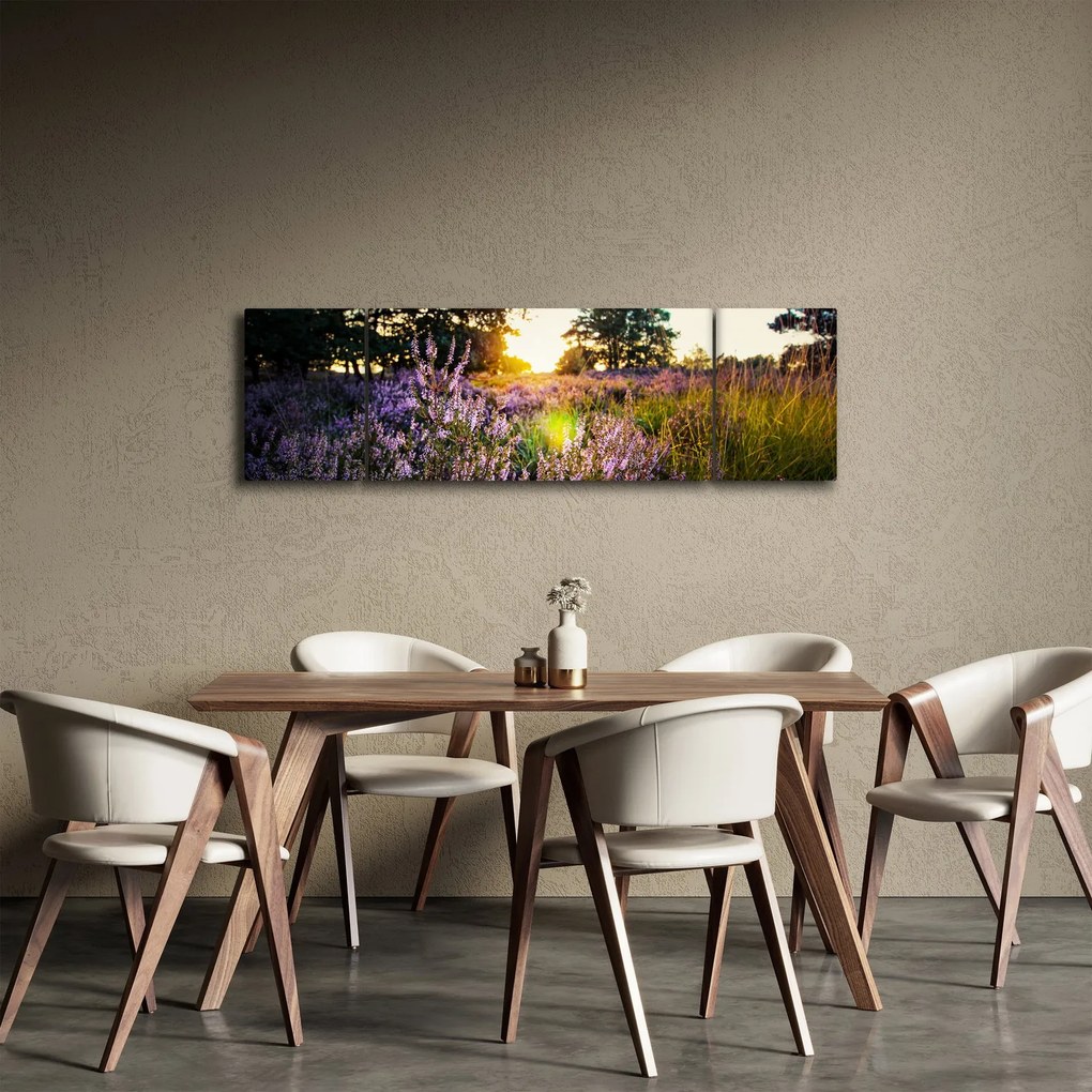 Obraz pola lawendy (170x50 cm)