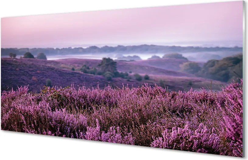 Szklany Panel Natura: Pole Wrzosów