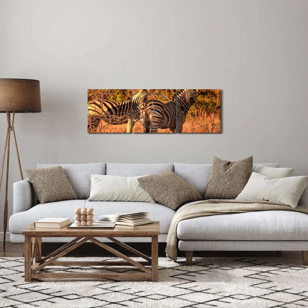 Obraz zebr (z zegarem) (90x30 cm)