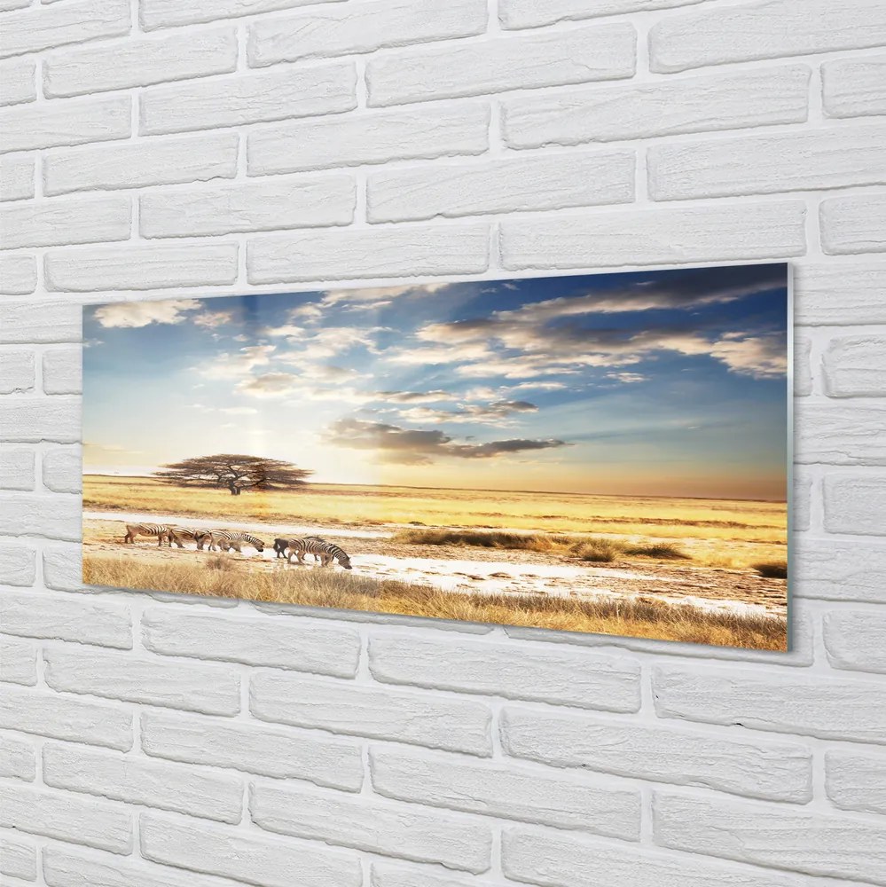 Panel szklany do Kuchni Zebry i Akacja pod Chmurami