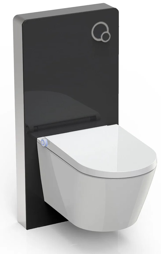 Kompletny zestaw WC 7: Toaleta myjąca Basic 1102Moduł sanitarny 805 czarny