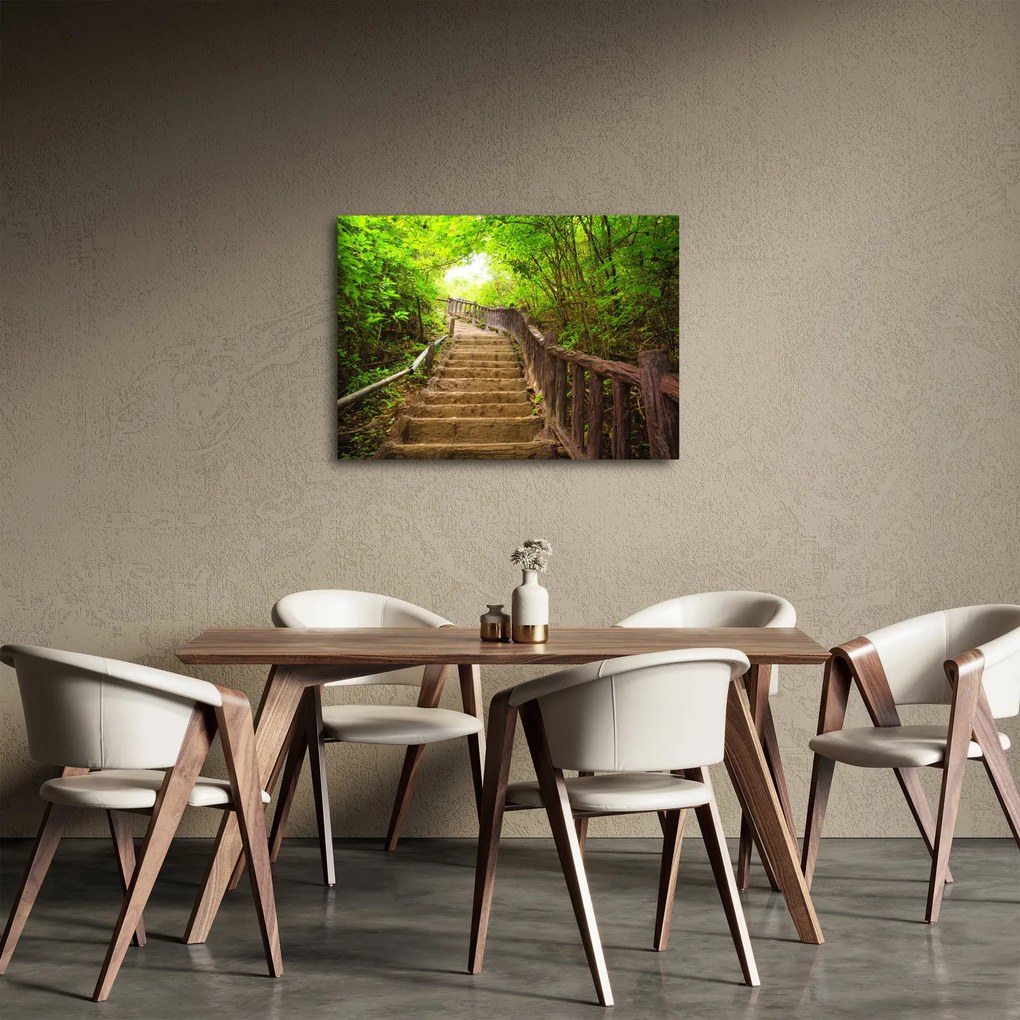 Obraz - Schody w przyrodzie (70x50 cm)