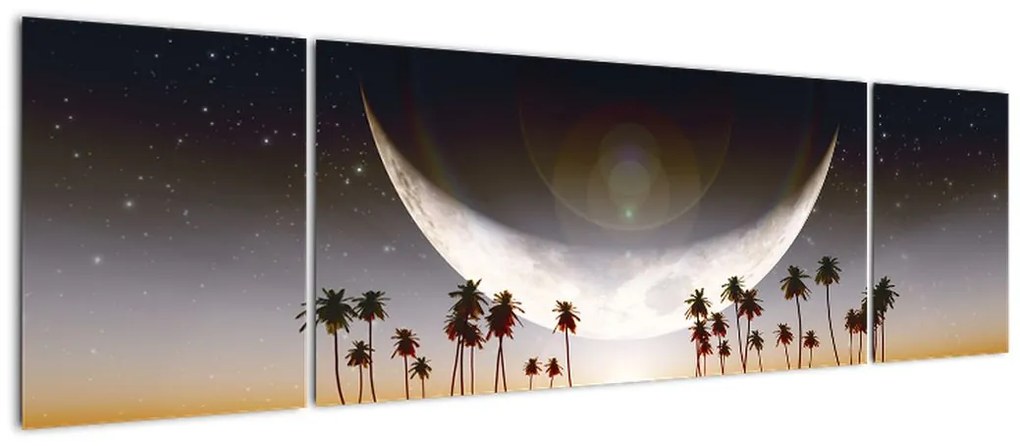 Obraz - Księżyc nad palmami (170x50 cm)