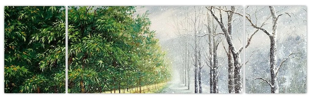 Obraz - Zima kontra lato (170x50 cm)