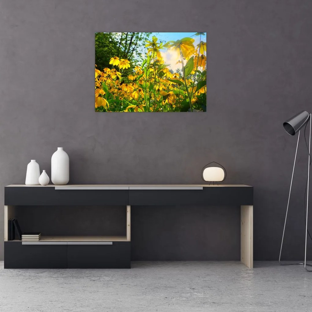 Obraz na szkle żółtych kwiatów (70x50 cm)