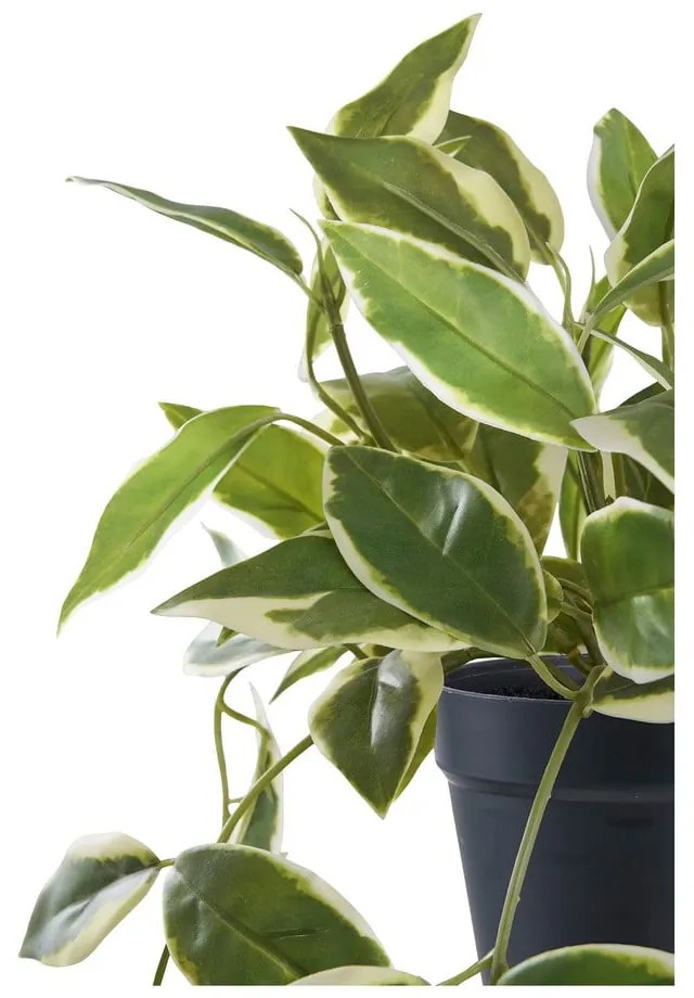 Sztuczna roślina (wysokość 33 cm) Hoya Carnosa – House Nordic