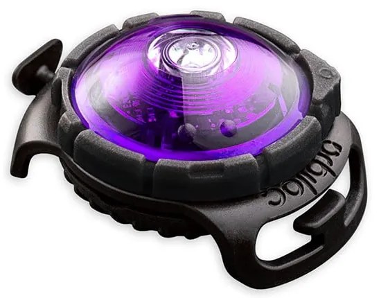 Lampka LED na obrożę Purple – Orbiloc