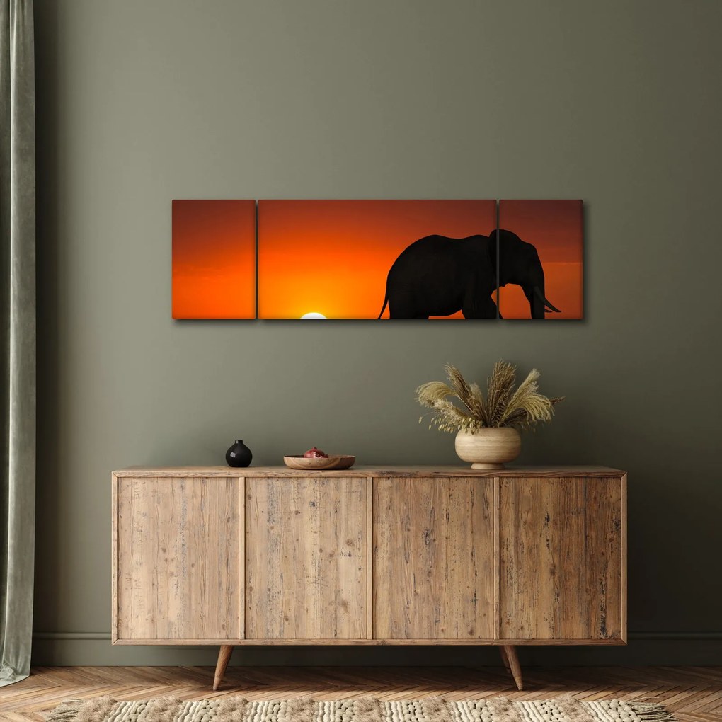 Obraz słonia o zachodzie słońca (170x50 cm)