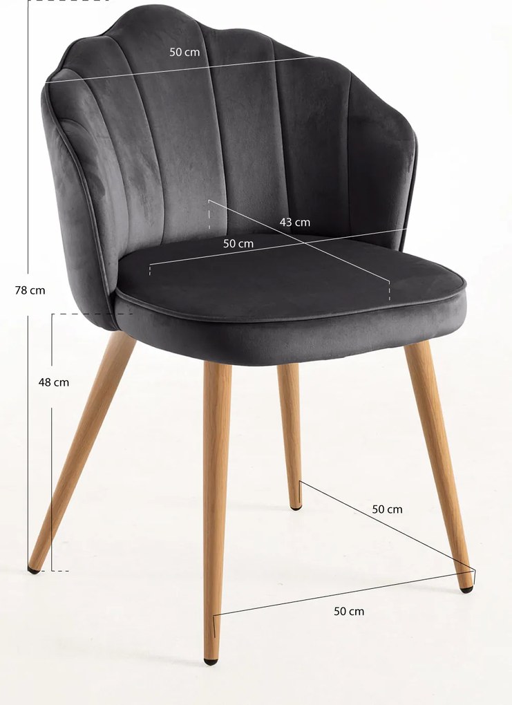 Aksamitne krzeso Blume