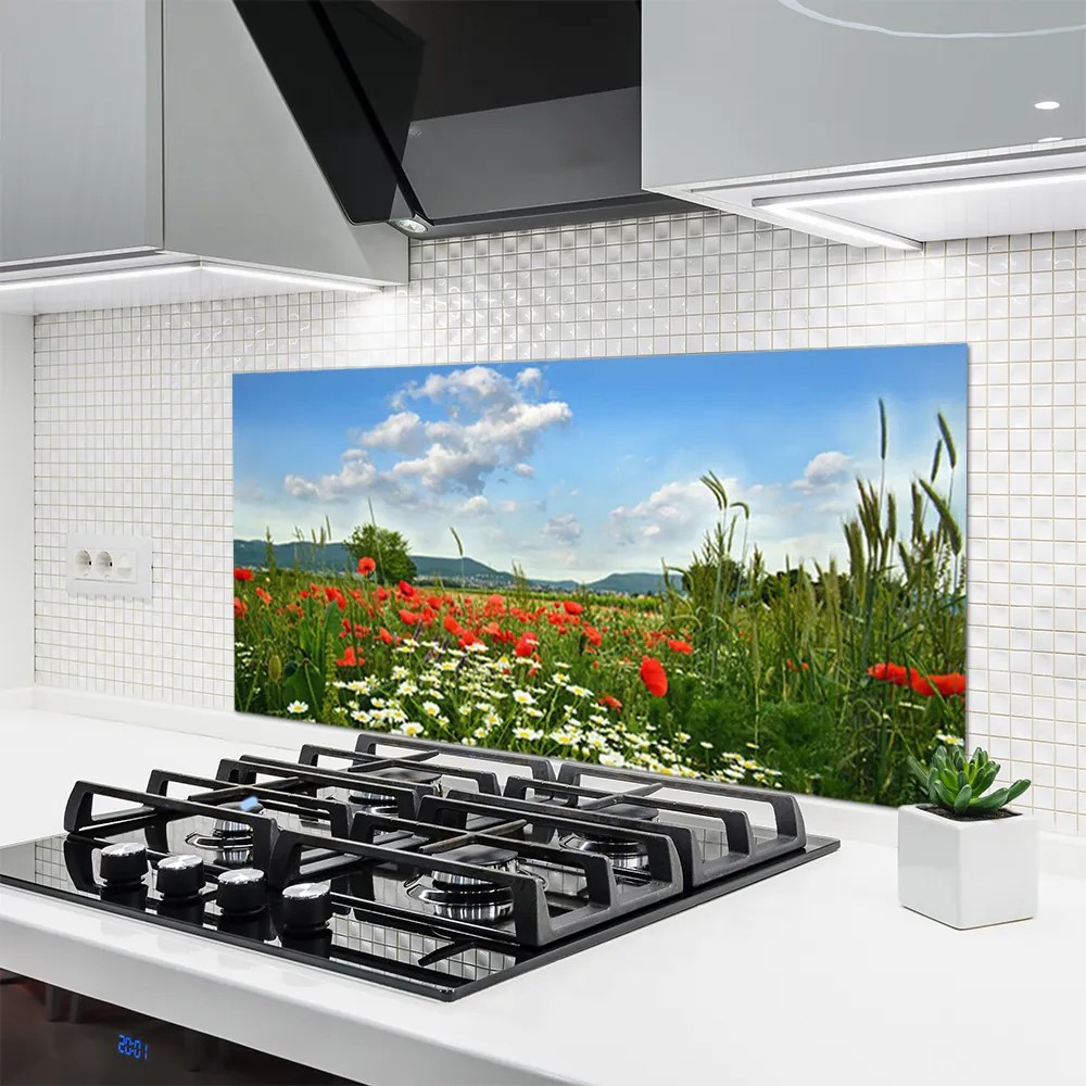 Panel Szklany Sielska Polana Kwiatowa