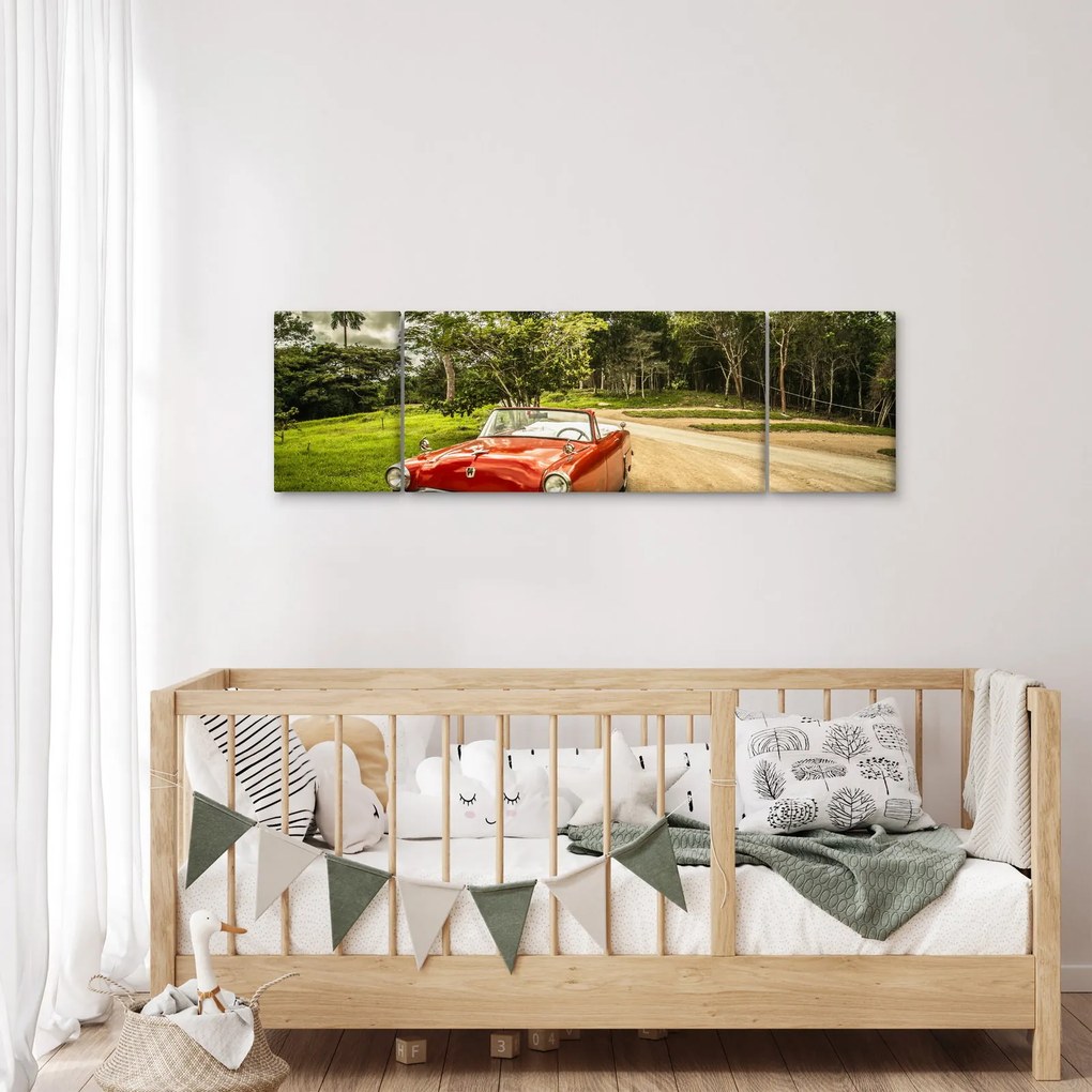 Obraz - zabytkowy samochód w przyrodzie (170x50 cm)